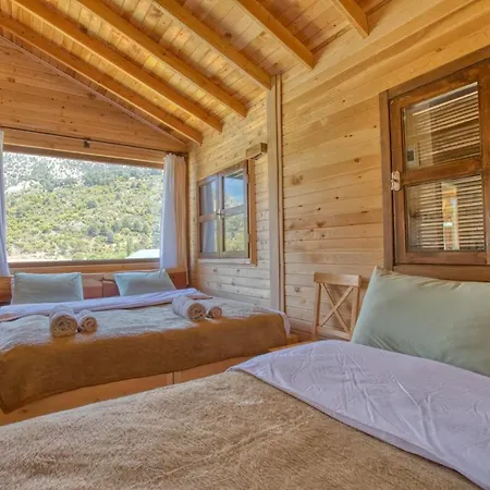 Camping Babakamp Eco Ranch & Retreat *