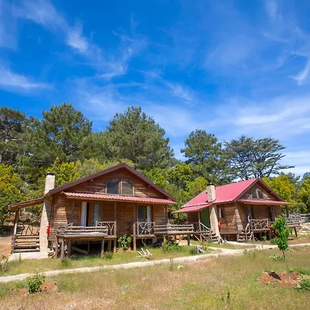 Babakamp Eco Ranch & Retreat Campsite