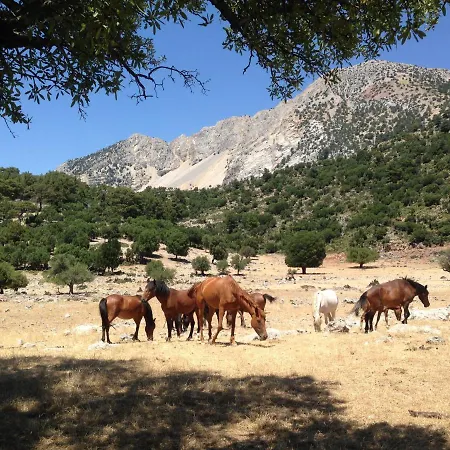 Campsite Babakamp Eco Ranch & Retreat Fethiye